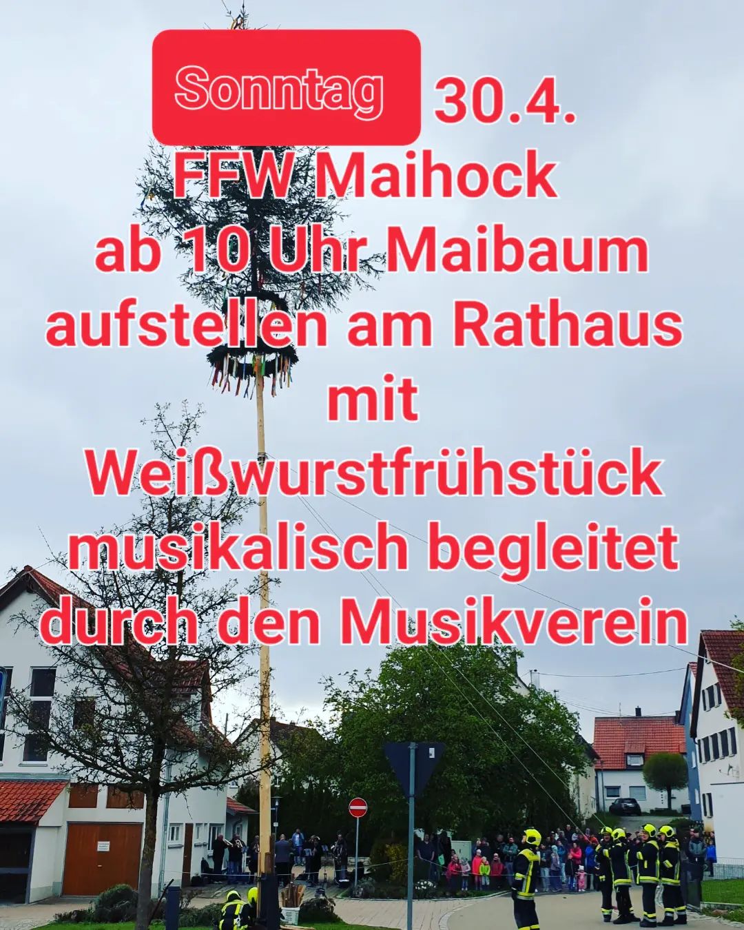 Sonntag 30.4.23 ab 10 Uhr Maihock mit Weißwurstfrühstück #FeuerwehrScharenstetten #MusikvereinScharenstetten #Maibaumaufstellen