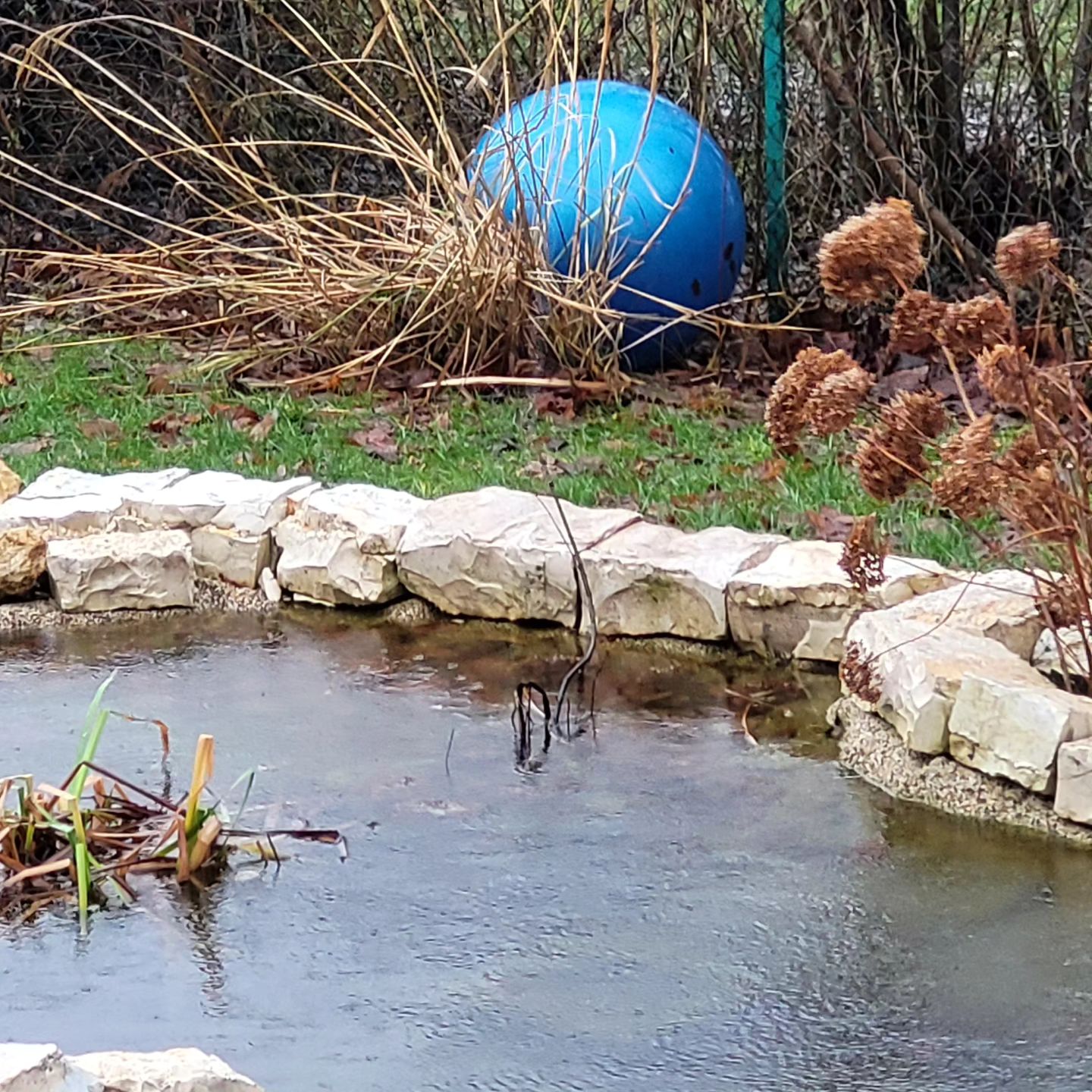 Bei so einem Sturm fehlt immer was aus dem Garten, dafür findet man auch wieder Neue Sachen 🤔 #scharenstetten #Sturm